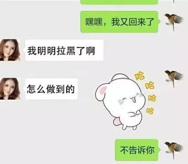 被无情的拉黑?没关系,学会这个与对方强行聊天!-搞笑