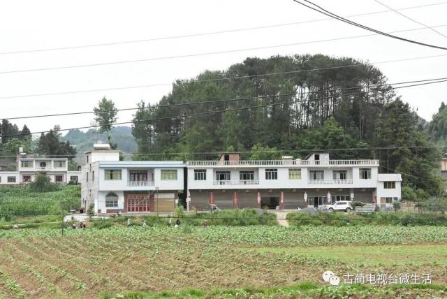 县工商联(总商会)主席王萍,皇华镇党委书记侯世锭参加捐赠仪式并讲话