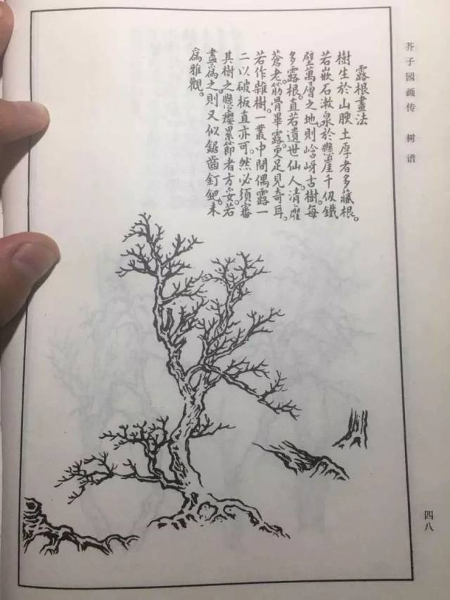 【小二画唠】芥子园基础学习