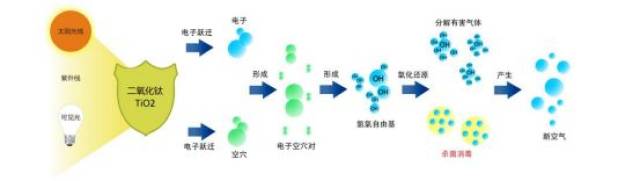 活性氧离子具有很强的 氧化能力,能在短时间内破坏细菌的繁殖能力而使