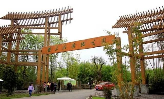 美!崇州桤木河湿地公园的天府绿道