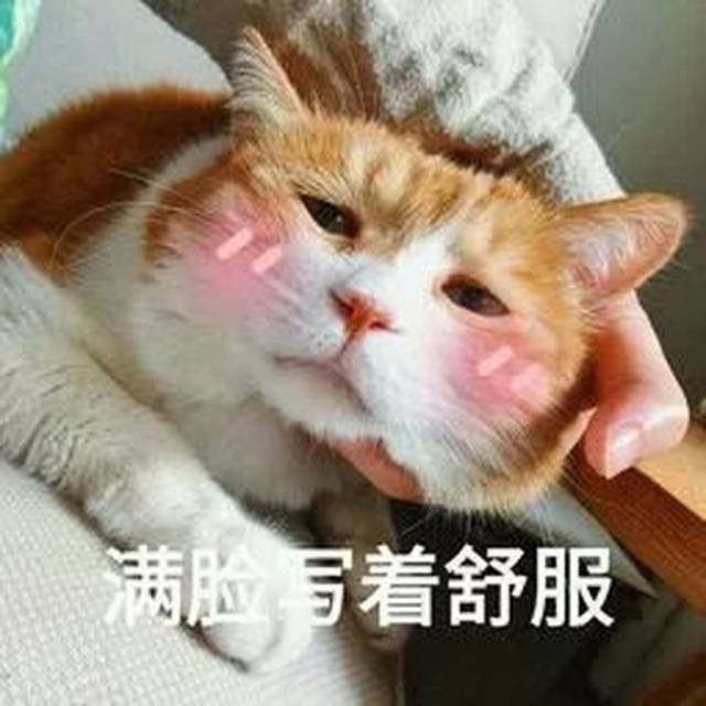 c0d8a7d8395843a89cf2ea655c0c8af6.jpeg
