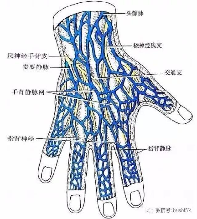 静脉输液,护士竟然倒着扎!是否可行?