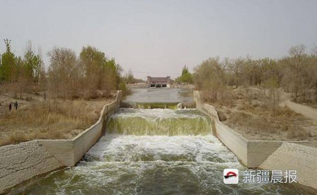 塔里木河第十九次生态输水之后,作为塔河重要的支流,孔雀河流域水位也