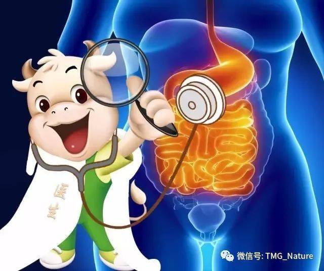 牛初乳改善肠胃功能有秘方!