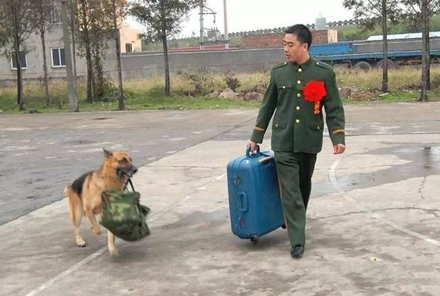 假如军人把这些照片发到朋友圈,你会点赞吗?