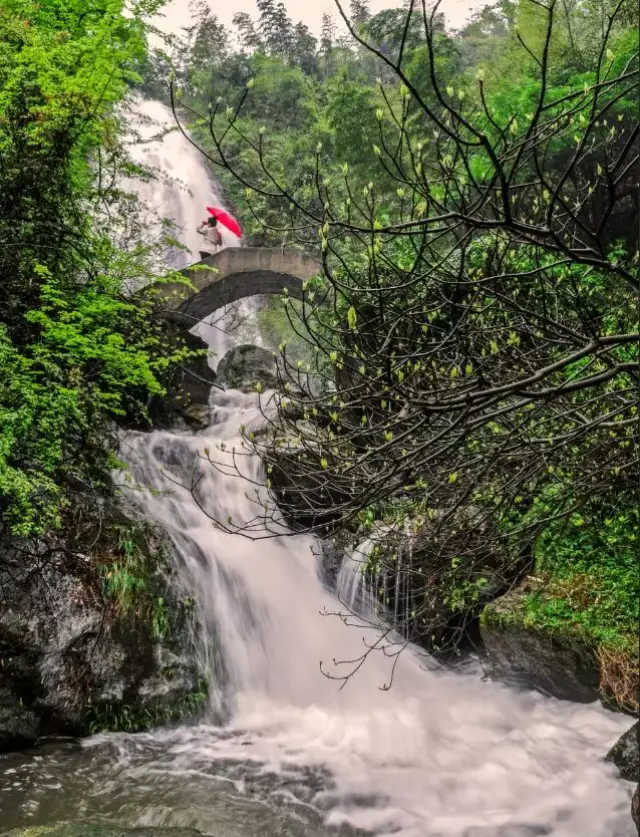 白水仙景区