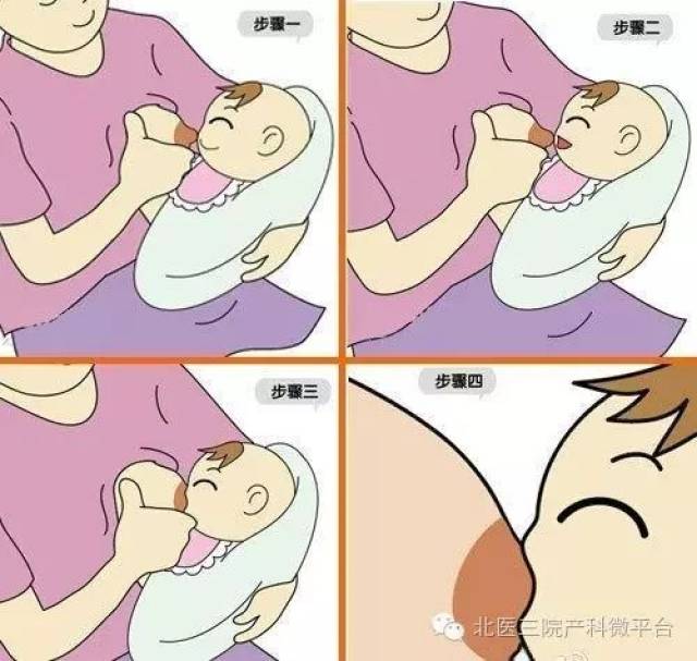 母乳喂养的姿势和步骤