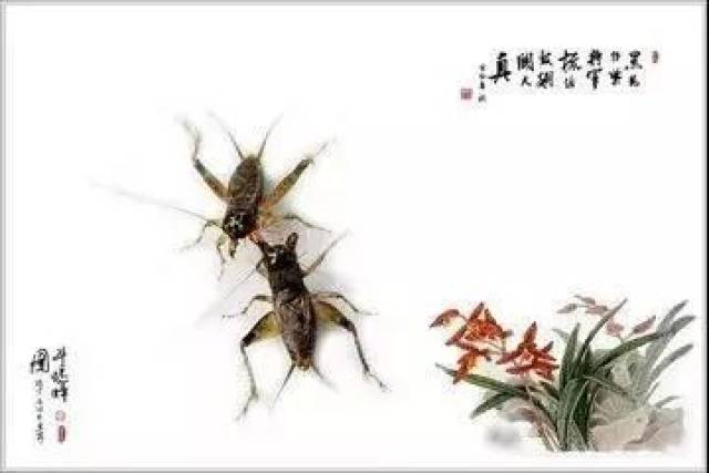 闻名遐迩,早在2500年前的《诗经》中就有"蟋蟀在堂,十月入我床下"的