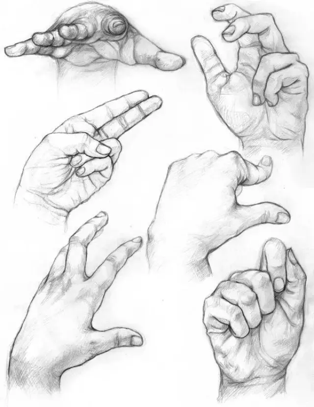 再画出手指结构 4 手臂结构 男性手臂肌肉结实,饱满,有力量 5 素描