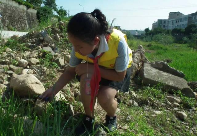 环保宣传进校园 小学生爱上"环保课"