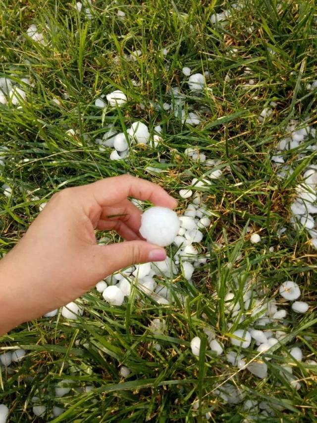 冰雹变网红!衡水的朋友圈真热闹!