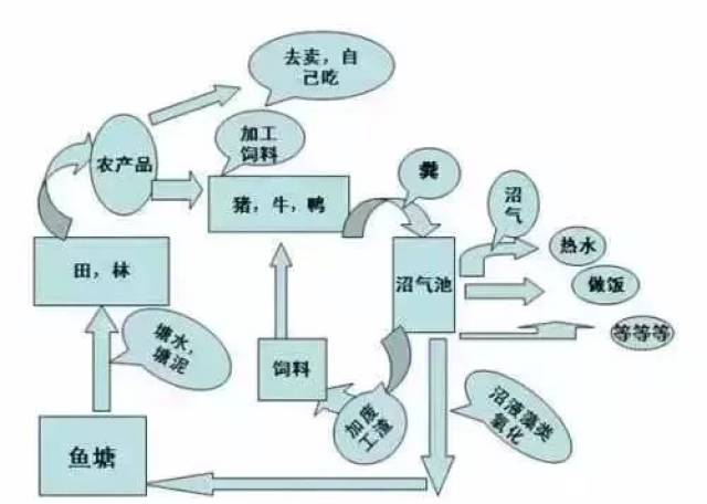 国家重点建设的生态循环农业,你知道都有哪几种模式吗