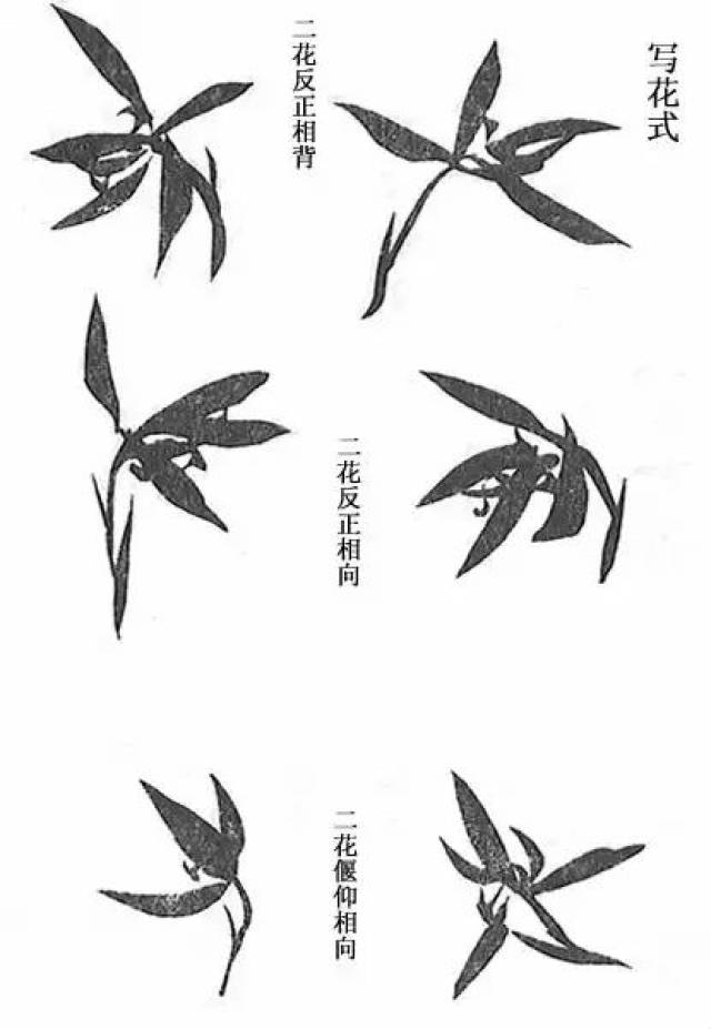 兰花怎么画?取法芥子园