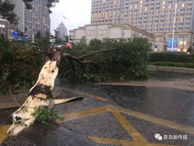 当天,青岛城郊均遭遇到了暴雨冰雹突袭.