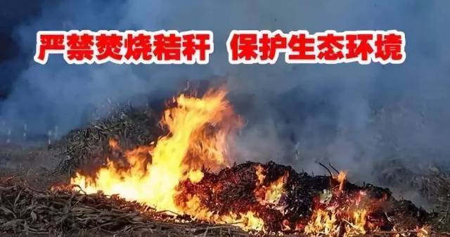 【徽县高桥动态】自觉抵制秸秆焚烧 共同呵护绿水高桥