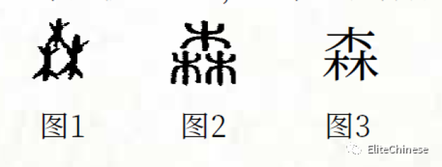 字形说明:采直视角度,取三棵树之形造字.