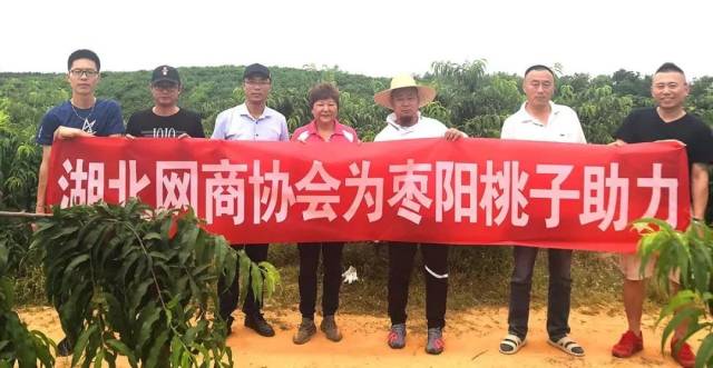 【新闻】三环成套助农活动爱心满满,枣阳滞销熟桃有销路