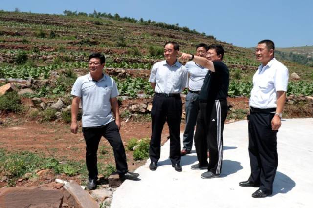 沂南:县委常委,政法委书记赵方禄一行到双堠镇仲山村调研产业扶贫工作