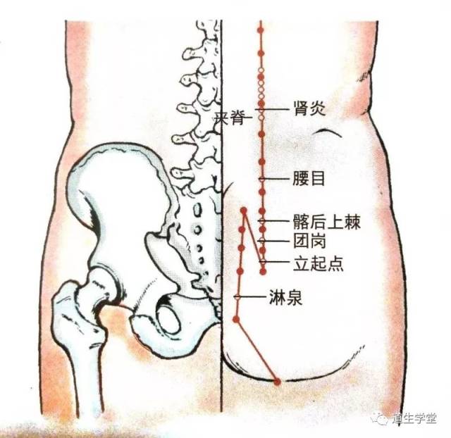 经外奇穴|腰目