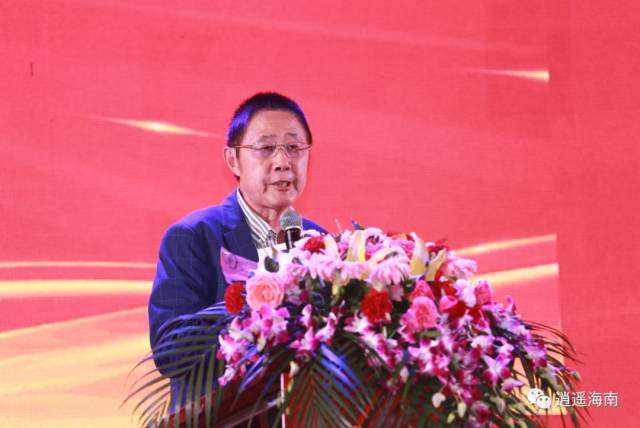 海南省旅游协会秘书长刘金林先生主题演讲