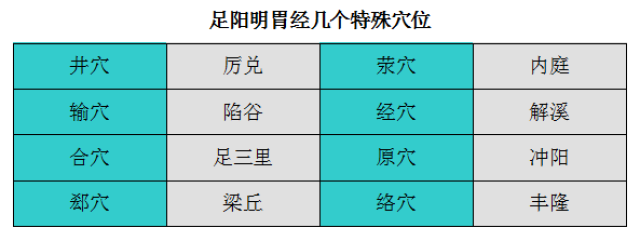 多气多血之经——足阳明胃经