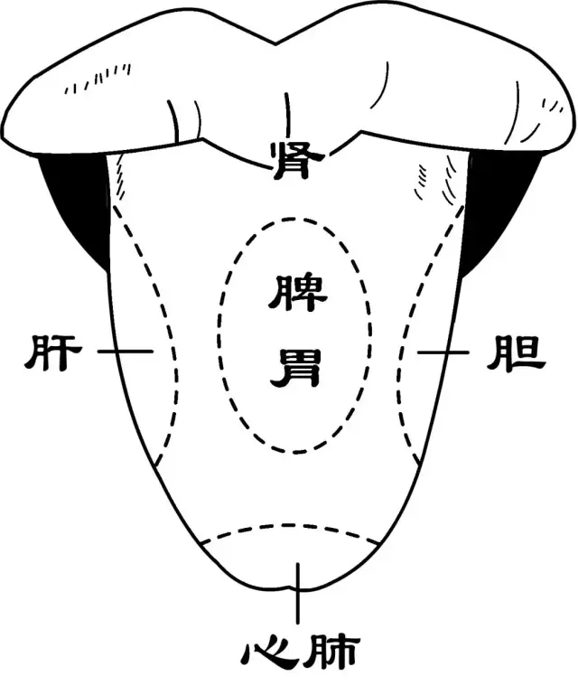 小儿内热为百病之源,教你如何清内热!