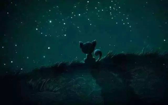看星星看月亮图片