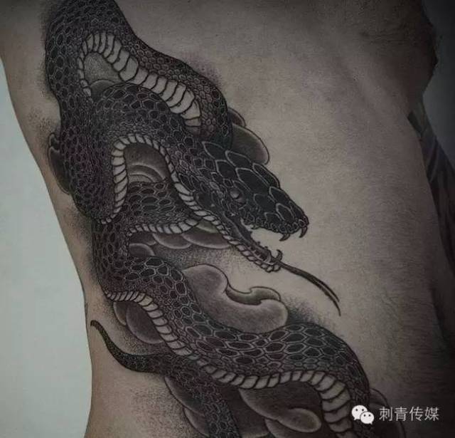 十二生肖系列-蛇