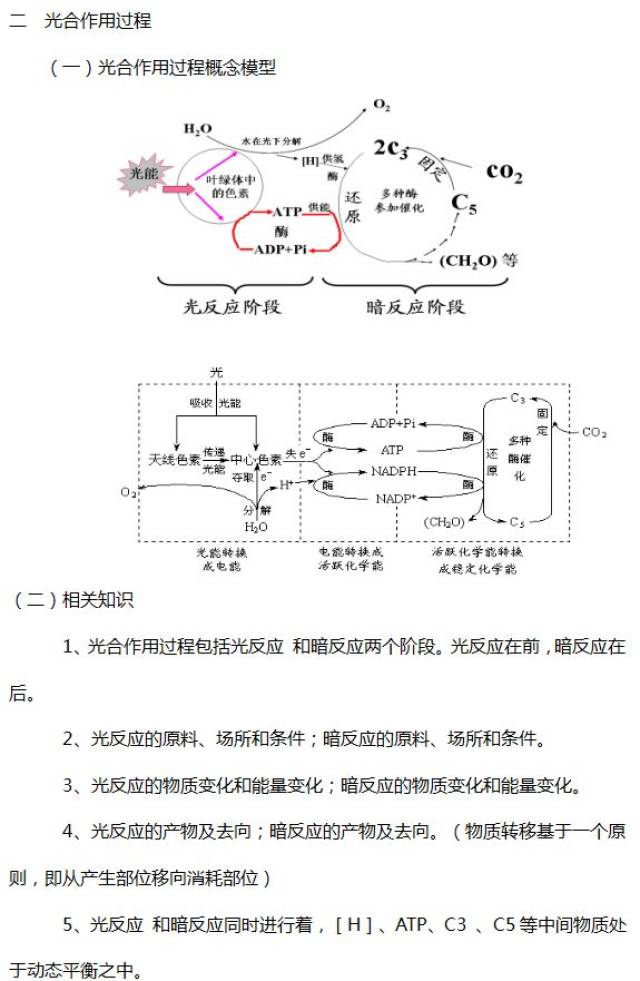 光合作用相关知识详细汇总,这份总结不容错过(1)