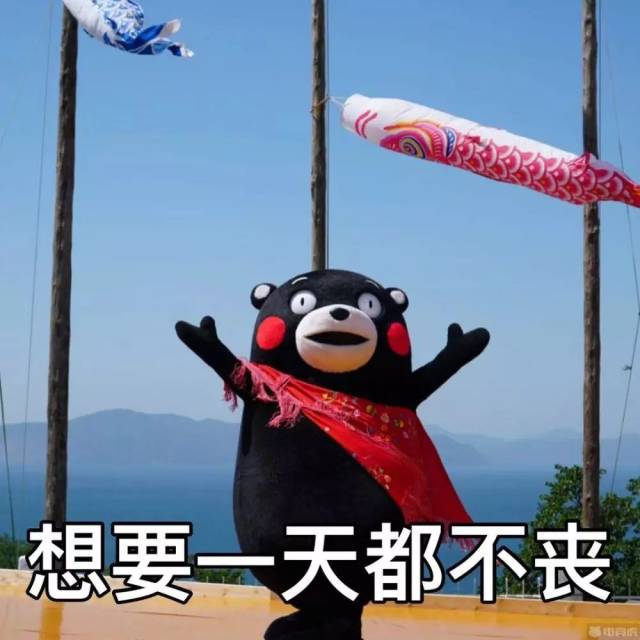 今日表情包精选:熊本熊——一定要开心每一天