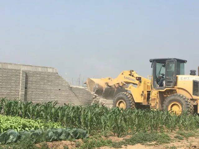 【拆违】宣化区河子西乡8处卫片图斑和双违