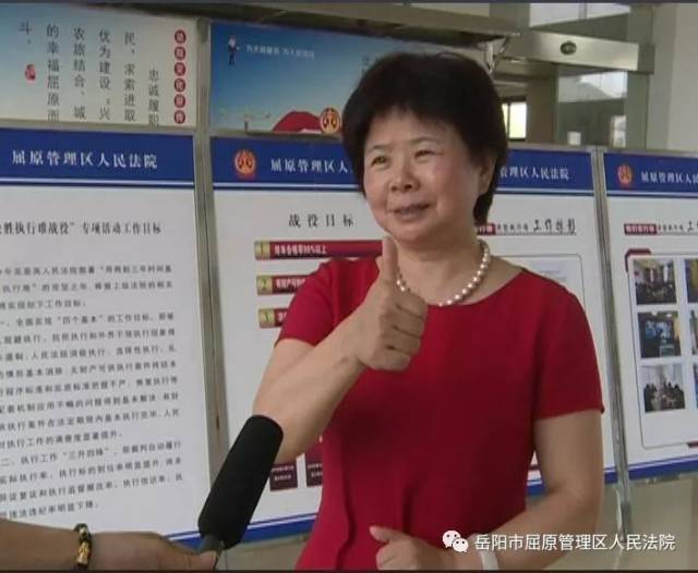 全国人大代表杨莉为法院执行工作点赞
