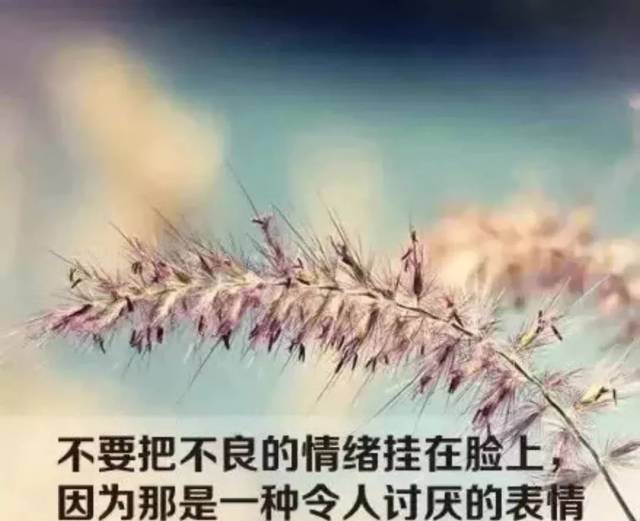 【教练学堂】成为不了心态的主人,就会沦为情绪的奴隶!