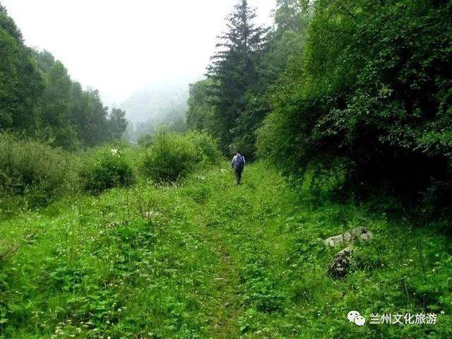 榆中县徐家峡不只有未开发的原始美景,更有百亩油菜花