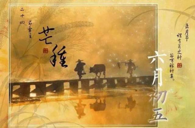 跟我读中华诗词(五十)——芒种诗词(夏天篇)