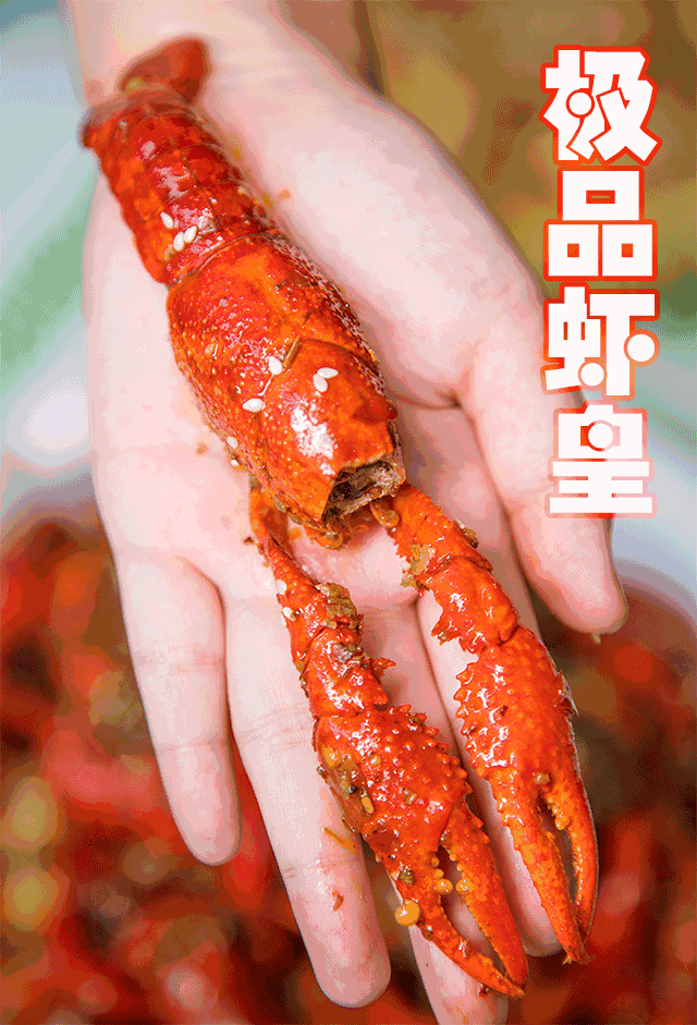 比菊姐还魔性的龙虾馆,开在热带雨林里!