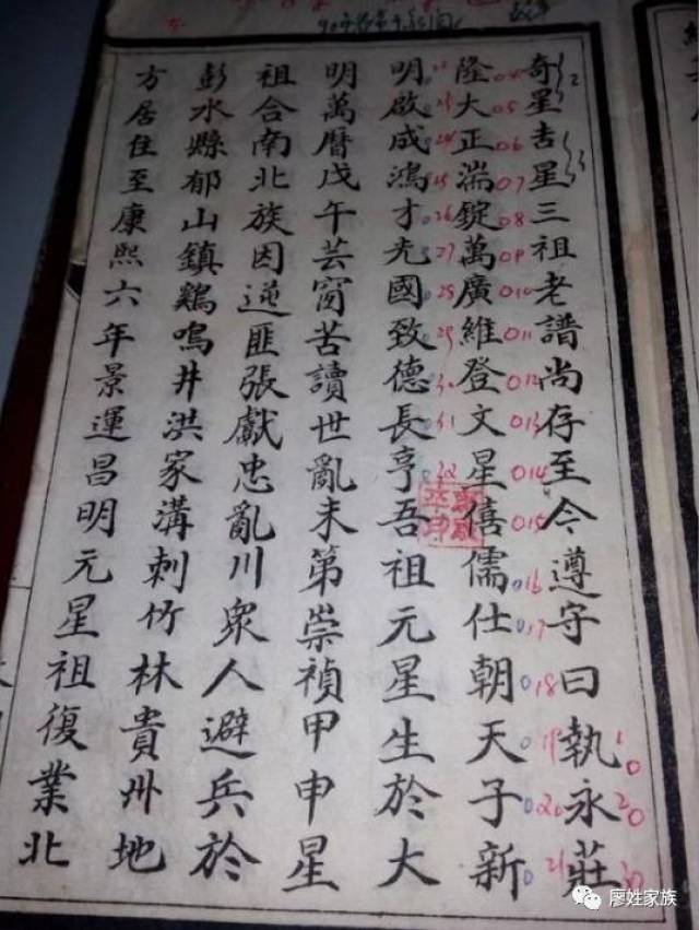 明朝开国名将廖永安廖永忠嫡系后裔巡考记