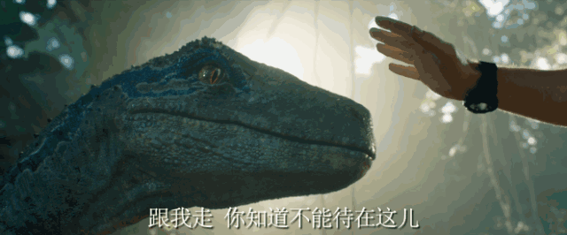 还记得你第一次见到恐龙的时候吗?那种感觉是不是就好像奇迹一样?