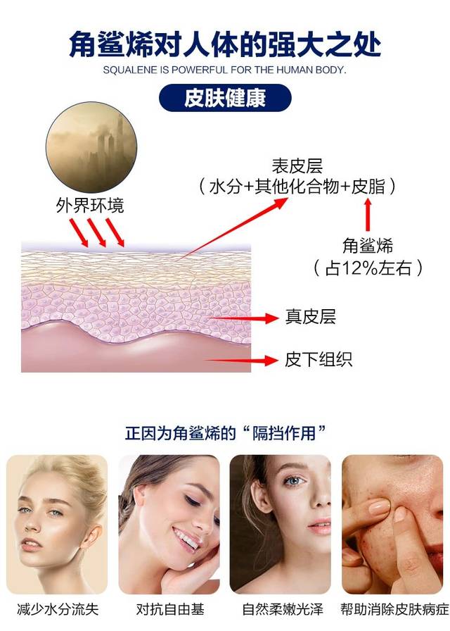 角鲨烯的功能如此强大,除了我们人体平时能够提供的那一定量的角鲨烯