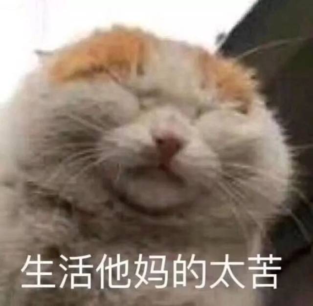 生活太他妈苦了