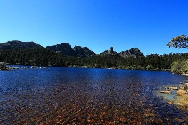 香格里拉千湖山湿地