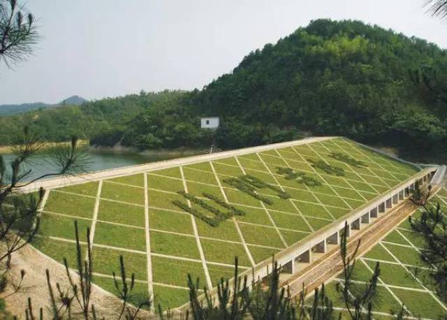 从山门寺路口,沿着石阶往上走,杜鹃花,茶花,玫瑰,还有含苞待放的桃花