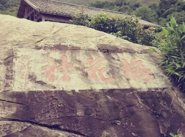 寻迹|南澳还有一个叫"梅花村"的地方