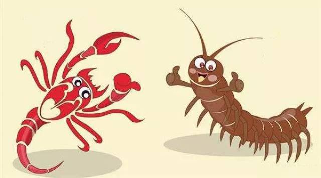 吃了两年的毒蝎子和蜈蚣,现在的他.