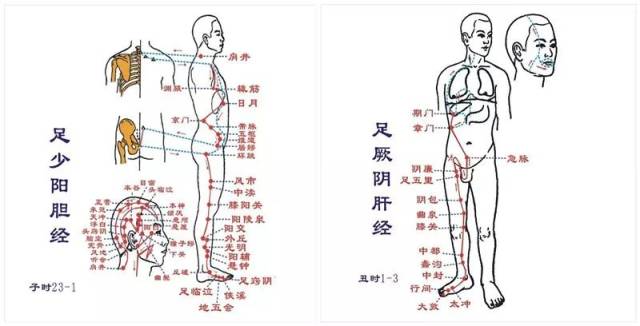 胆经:可敲击,按揉,艾灸肩井穴,风市穴,悬钟穴,足临泣穴.