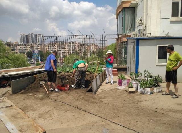 6月12日,街道城管科联合区执法大队,对丰电小区1号楼二楼缓台的"菜