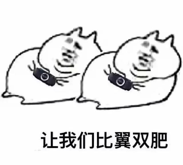 f572d3486168467fbbccd1442af2cc1c.jpeg