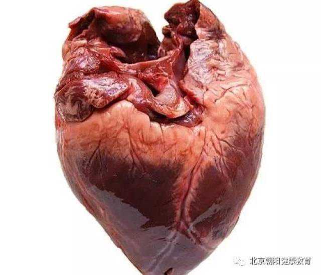 心:吸烟是造成心脏病的主要原因,它会使你的动脉变硬变窄,并且使你的