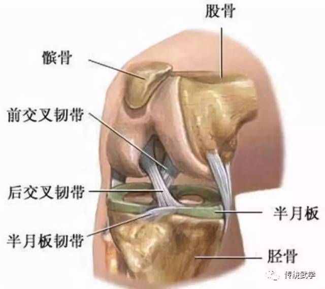 练拳更要预防膝关节病